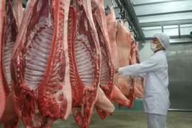 Importation de près de 6.600 tonnes de viande porcine en 2017