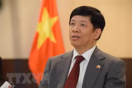 Le Vietnam contribue activement à la promotion de la coopération Mékong-Japon