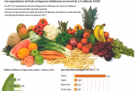 Les exportations de fruits et légumes établissent un record de 3,5 milliards d’USD