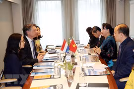 Vietnam-Pays-Bas : volonté commune de renforcer la coopération dans les ports maritimes