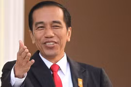 Le président indonésien entame sa visite d'Etat au Vietnam