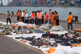 Crash en Indonésie: l'une des boîtes noires de l'avion récupérée