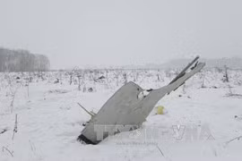 Accident d’avion en Russie : aucun Vietnamien n’est signalé