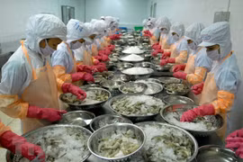 Assurer la qualité des crevettes exportées vers la R. de Corée