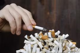 Partage des expériences dans la communication sur la lutte contre les méfaits du tabagisme