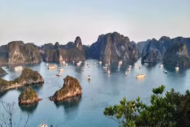 Promouvoir le tourisme dans les provinces de Quang Ninh et Ha Giang 