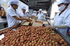 Exploiter pleinement le potentiel d'exportation des produits agricoles vietnamiens vers l'Australie