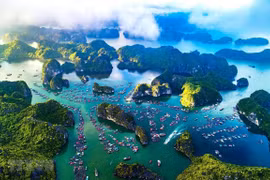 Promouvoir la coopération internationale pour développer l'économie bleue au Vietnam