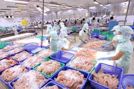 Produits aquatiques: les exportations au 2e trimestre pourraient atteindre un niveau record