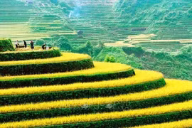 Lancement du Concours international de photos d'art au Vietnam 2021
