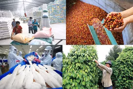 Les exportations de produits agro-sylvicoles et aquatiques affichent 35,5 milliards de dollars 