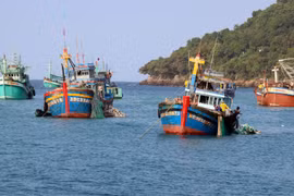 Kien Giang et Ca Mau coopèrent pour lutter contre la pêche illégale, non déclarée et non réglementée