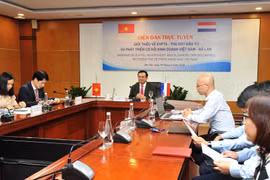 EVFTA: opportunité de coopération commerciale Vietnam-Pays-Bas