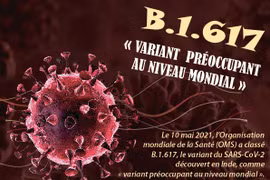 B.1.617 - « variant préoccupant au niveau mondial »