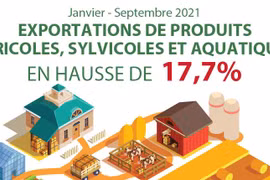 Neuf mois: Les exportations de produits agricoles, sylvicoles et aquatiques en hausse de 17,7%