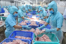 Janvier: 644 millions de dollars d’exportation de produits aquatiques