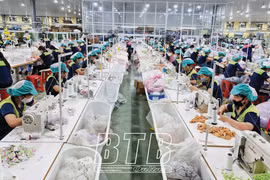 Thai Binh cible la croissance de 9.1% en 2021