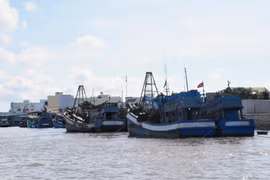 Bac Lieu s'efforce de supprimer le "carton jaune" sur la pêche INN