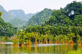 Le Vietnam parmi les 16 pays les plus riches en biodiversité