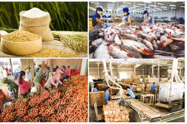 Exportations de produits agricoles, sylvicoles et aquatiques en hausse de 1,6% en neuf mois