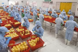 L'industrie manufacturière joue un rôle clé dans l'attraction des IDE