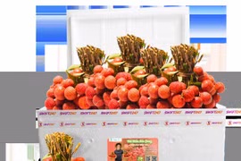 Vietjet s'associe pour promouvoir les exportations et la consommation de litchis