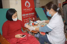 Don de sang: l'Institut central d'hématologie et de transfusion sanguine relance son appel