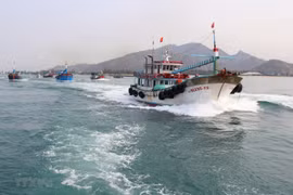 Pêche INN: Thanh Hoa s'efforce de supprimer le "carton jaune" de la CE