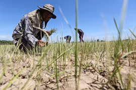 La Thaïlande fait face à une grave sécheresse et à une hausse du chômage au milieu du COVID-19