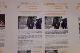 Journalisme : Remise des VIEWS Awards 2022 sur la protection des animaux sauvages