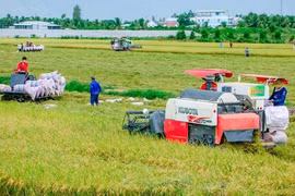 Aide australienne dans le développement agricole au Vietnam