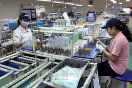 IDE : le Vietnam attire plus de 25 milliards de dollars en onze mois