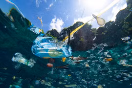 Pollution marine: Plus de plastique que de poisson dans l'océan d’ici 2050