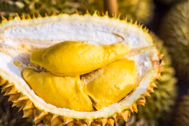 Promouvoir le durian vietnamien sur le marché australien