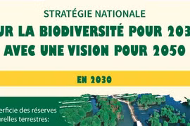Stratégie nationale de la biodiversité à l'horizon 2030 avec une vision à l'horizon 2050