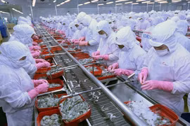 Fort rebond des exportations de produits aquatiques vers la Russie