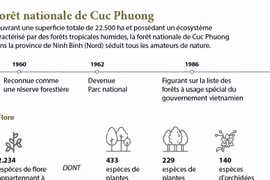 La forêt nationale de Cuc Phuong séduit tous les amateurs de nature