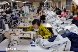 Des ouvriers fabriquent des vêtements destinés à l'exportation dans une entreprise de la province de Ha Nam, au Nord du pays. Photo : VNA