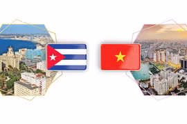 Les relations de solidarité traditionnelle et d'amitié spéciale Vietnam-Cuba
