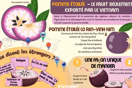 Pomme étoilée - le fruit seulement exporté par le Vietnam
