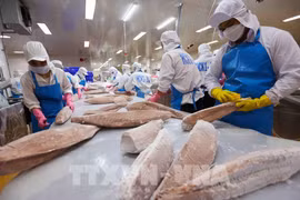 Transformation de pangasius. Photo: VNA