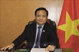 L’ambassadeur du Vietnam au Pérou, Bui Van Nghi. Photo: VNA