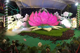 La première Fête du lotus de Hanoï, organisé du 12 au 16 juillet, a attiré plus de 50 000 visiteurs. Photo: Internet