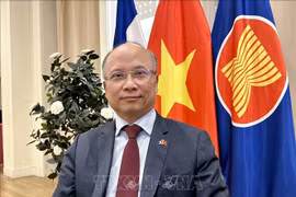 L'ambassadeur vietnamien en France Dinh Toan Thang. Photo: VNA