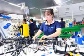 Photo: laodong.vn