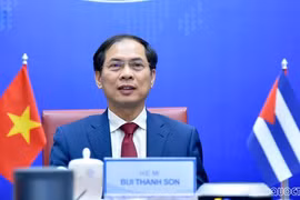 Vietnam-Cuba : consultation politique au niveau de vice-ministre