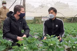 Les entreprises australiennes saluent les conditions d'investissements favorables au Vietnam