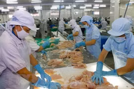 Les exportations aquatiques dépassent les 4,1 mds de dollars au 1er semestre