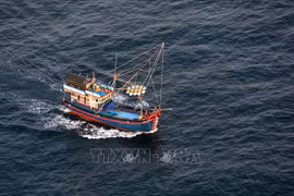Sanctions sévères des actes d’amener des navires à pêcher illégalement à l'étranger