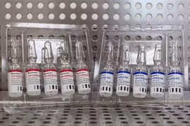 Le gouvernement accepte de négocier pour acheter 40 millions de doses du vaccin Spoutnik V